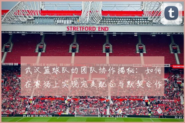 武汉篮球队的团队协作揭秘：如何在赛场上实现完美配合与默契合作