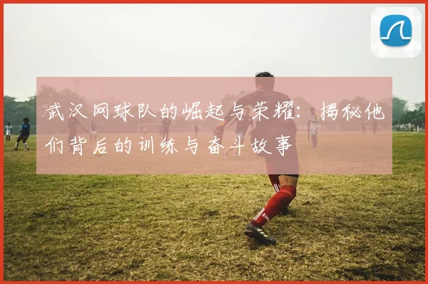 武汉网球队的崛起与荣耀：揭秘他们背后的训练与奋斗故事