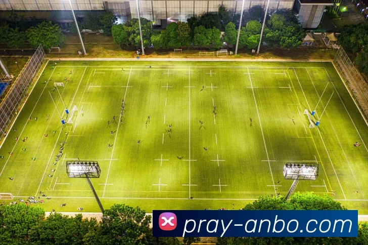 安博体育平台生态图